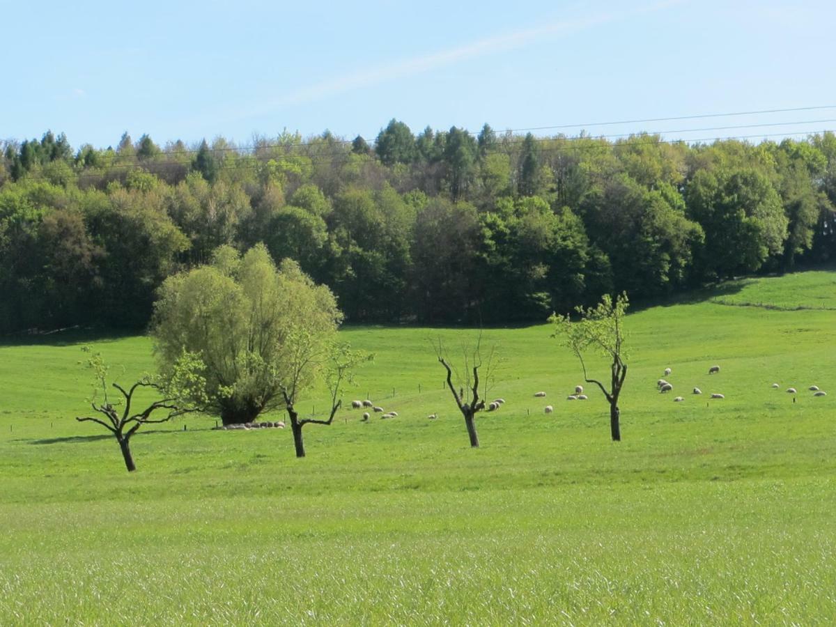 Gites Du Tilleul Gumbrechtshoffen Buitenkant foto